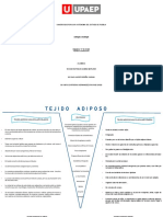 Tejido Adiposo V de Gowin