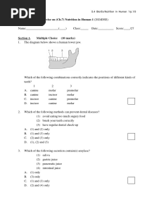 DSE Biology S.4 Exercise On (Ch.7) Nutrition in Human 1 (2024DSE)