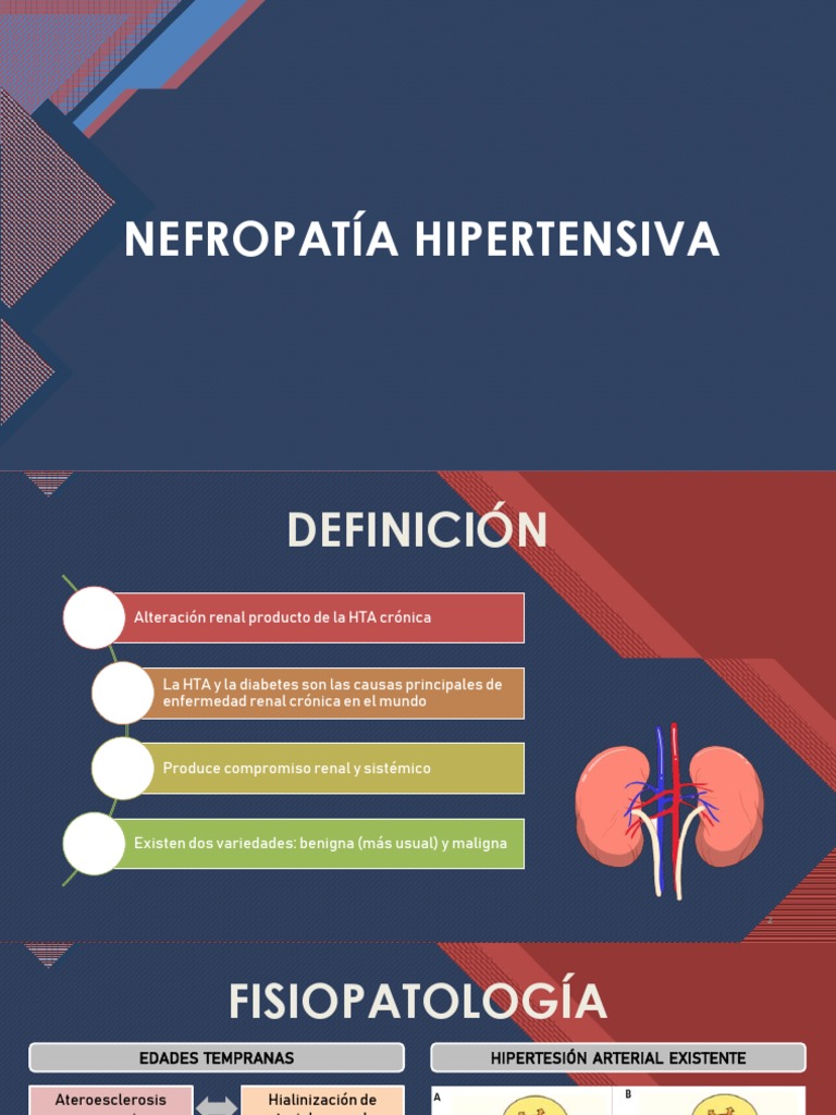 Nefropatía Hipertensiva PDF Hipertensión Riñón