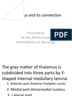 Thalamus and Its Connection: Presented By: Dr. Md. Akmol Hossain Resident (Phase-A), Neurology