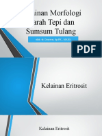 Kelainan Morfologi Darah dan Sumsum Tulang