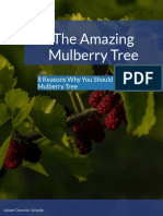 8 Reasons to Get a Mulberry Tree