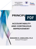 Principle Iii: Accountability and Continuous Improvement