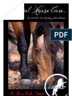 Curso de Natural Horse Care en Cataluña