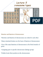 Chromosome Structure and Function Lecture