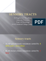 Sensory Tracts: DR Raghuveer Choudhary Associate Professor Dept. of Physiology DR S.N.Medical College, Jodhpur