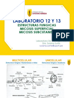 2021 Lab 12 y 13 Estructuras Fungicas Micosis Superficial Subcutanea