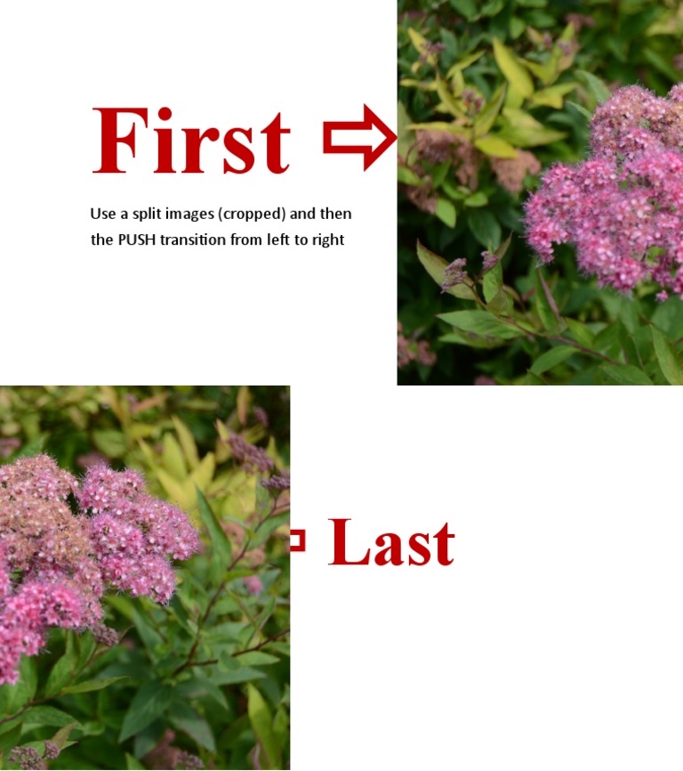 First : Use A Split Images (Cropped) and Then The PUSH Transition From ...