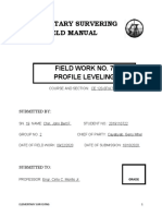 Chin Field Work No.7 Profile Leveling