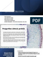 Sintesis Protein Versi 2