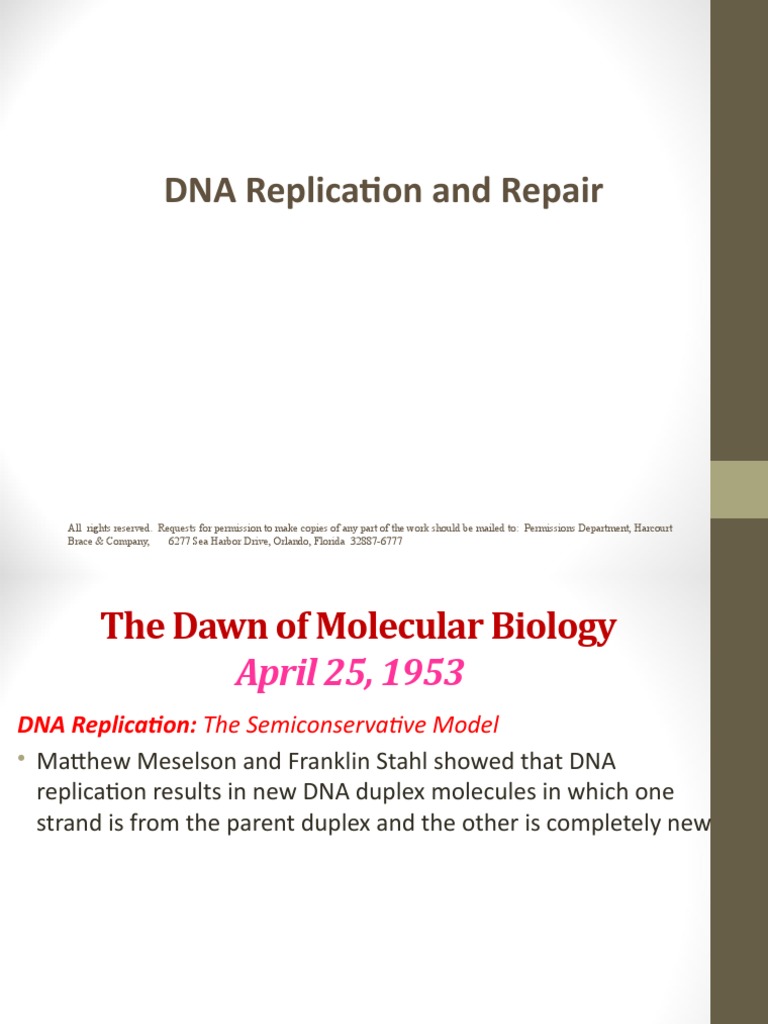 DNA Replication and Repair Mechanisms | PDF | Dna Replication | Dna