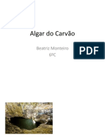 Algar Do Carvão