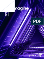 ds-imagine-prilux