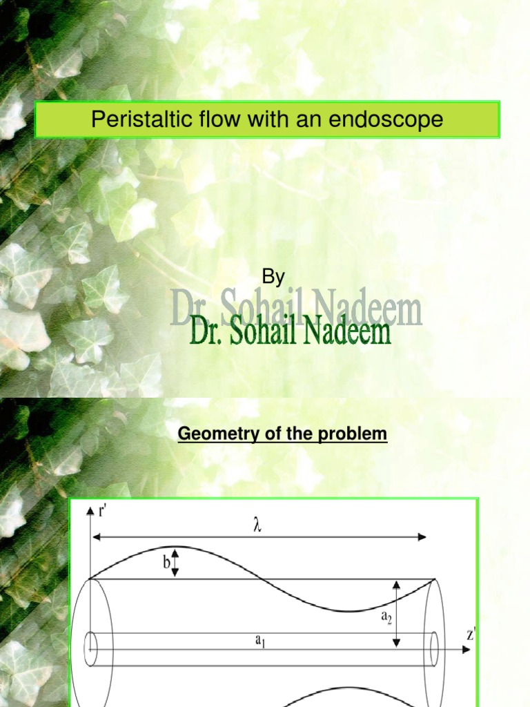 Peristaltic Flows in Endoscope PDF Fluid Mechanics Motion (Physics)