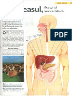 020 - Pancreasul