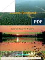 Brazil Amazon