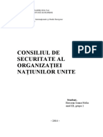 Consiliul de Securitate Al ONU