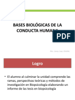 Introducción A La Biopsicología, Anatomía y Organización Del SN