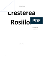 Cresterea Rosiilor