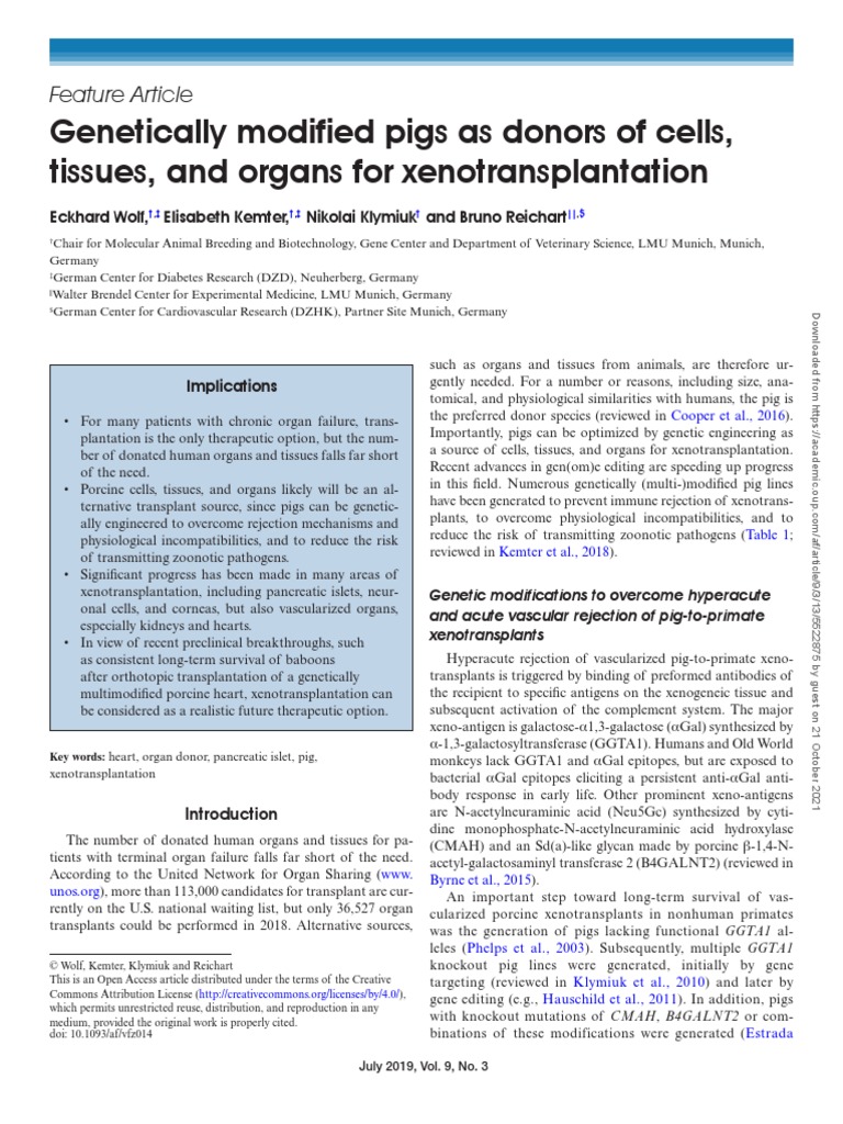 Modified Pigs As Donors of Cells, Tissues, and Organs For