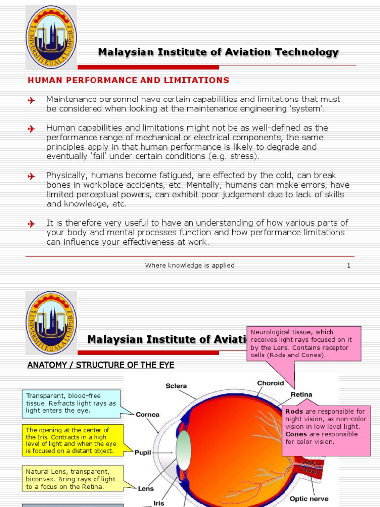 Human Performance in Aviation Maintenance | PDF | Noise | Attention