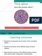 Lesson 4 - The Circulatory System