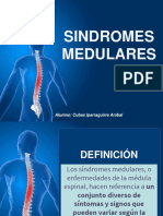 Sindromes Medulares Def Anatom