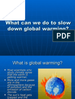 What Can We Do To Slow Down Global Warming?