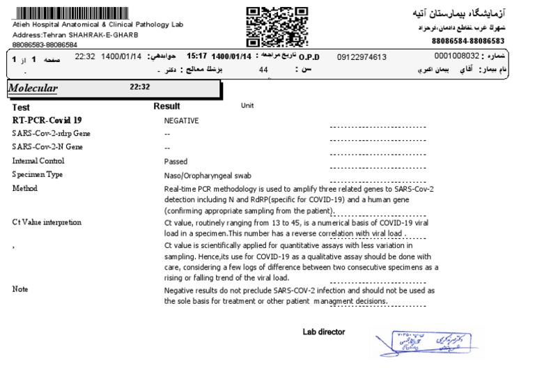 COVID-19 RT-PCR Test Result | PDF | Assay | Diseases And Disorders