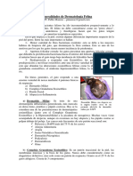 Silo.tips Generalidades de Dermatologia Felina Mv Pablo Manzuc