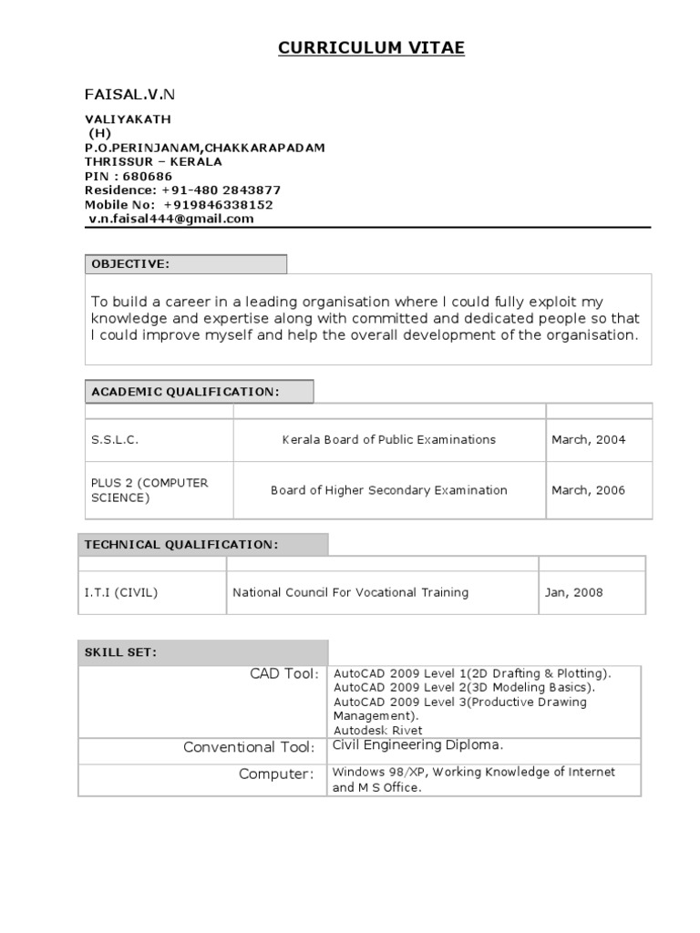 Faisal V.N's Professional CV | PDF