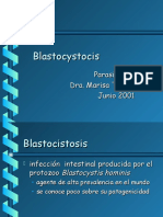 Blastocystocis
