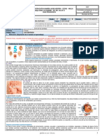 Plantilla Actividades Pedagógicas Grado 8° Semana 17 Al 27 de Agosto