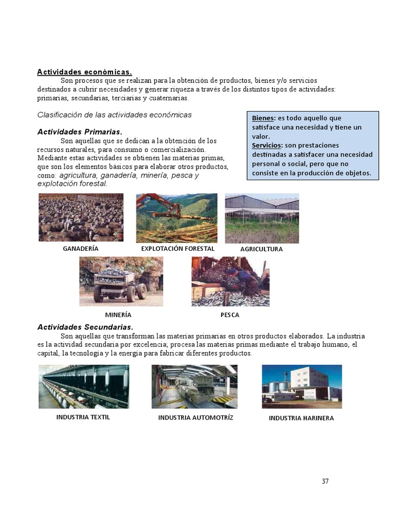 Clasificación de Actividades Económicas | PDF | Agricultura | Minería