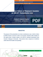 Brittle Fracture Failure of Polymeric Insulator On 400 KV Transmission Line