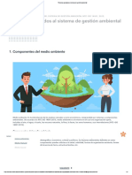 Términos Asociados Al Sistema de Gestión Ambiental3