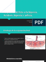 04respuesta Del Feto A La Hipoxia