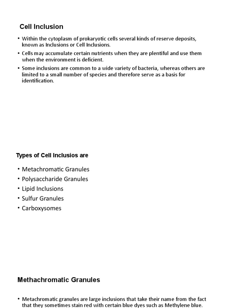 Prokaryotic Cell Inclusions Explained | PDF