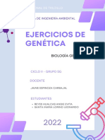 Problemas de Genética- CICLO II SECCIÓN G Ingeniería Ambiental