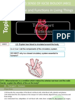 9. Unit 2 - 2h Transport in humans