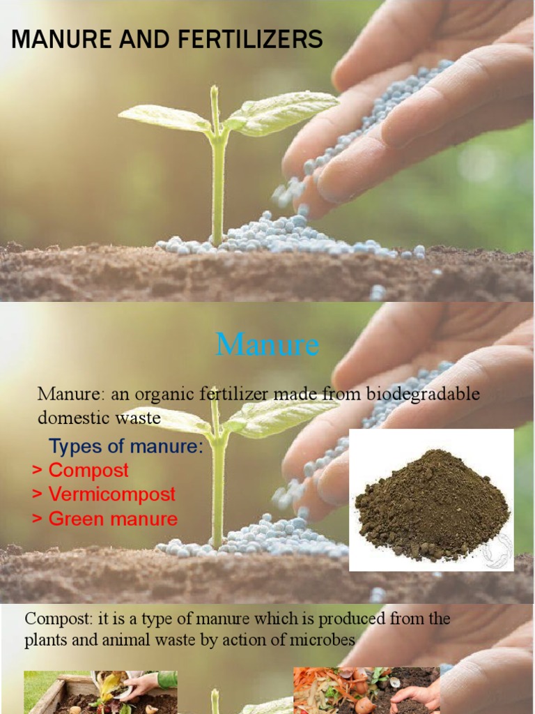 Manure and Fertilizers PPT 1 | PDF | Fertilizer | Soil