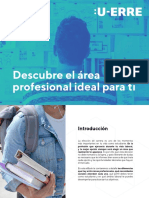 Area Profesional