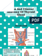 Gross and Clinical Anatomy of Thyroid Gland