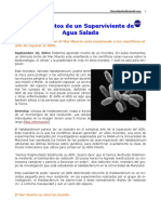 48-Secretos de Un Superviviente de de Agua Salada