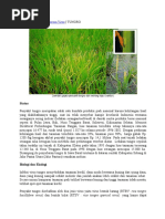 Download Penyakit Virus Padi by Khairi Maulida Azhari SN55618785 doc pdf