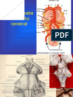 Nervi Cranieni Prof