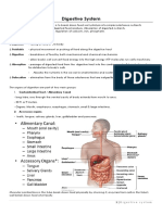 Digestive System: Five Basic Activities