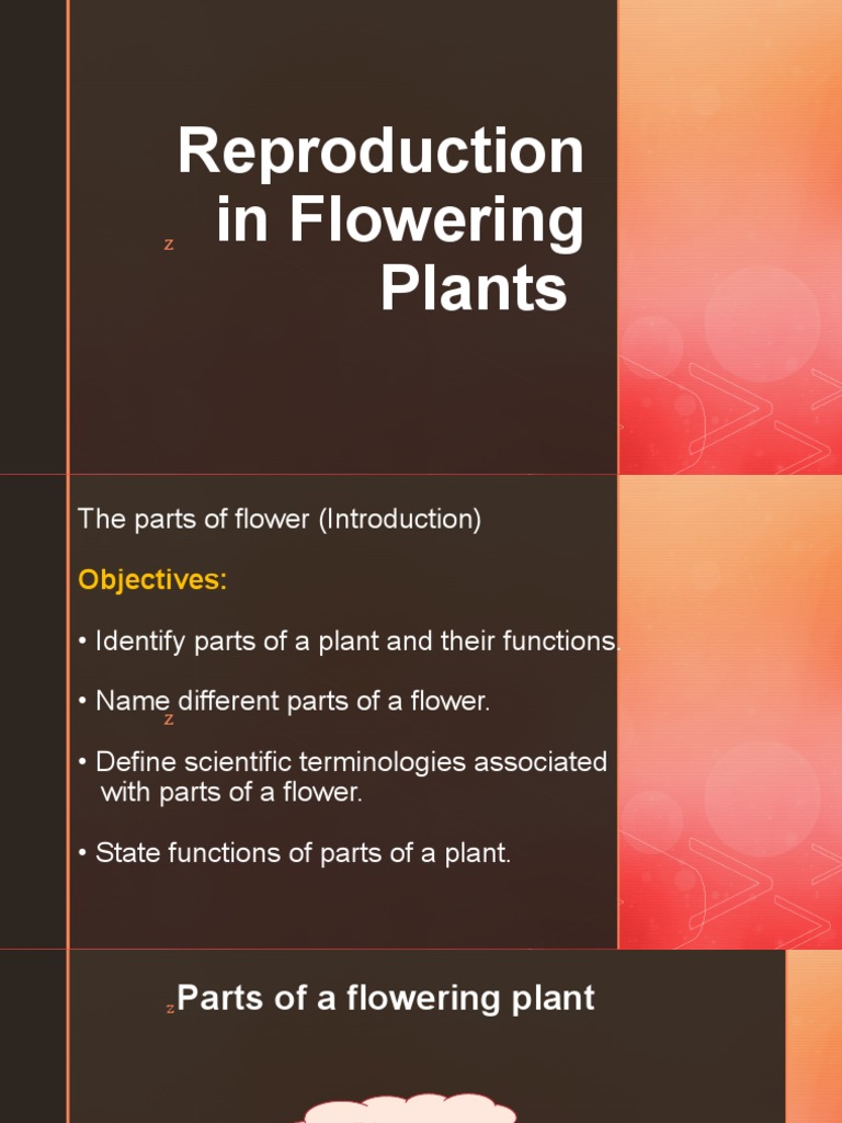 The Parts of Flower PDF Flowers Reproduction