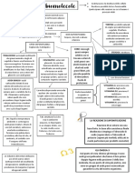 Le Biomolecole