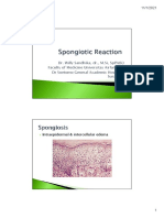 Spongiotic Reaction